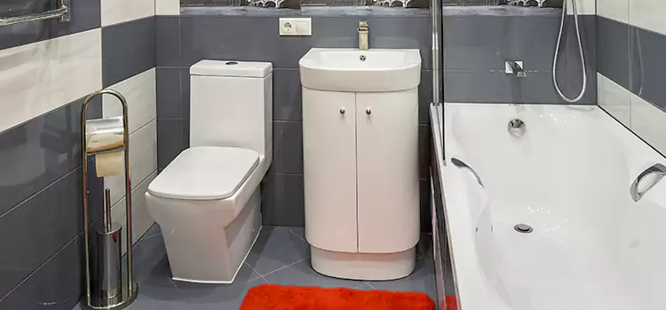 Hansgrohe Shaving Mirror Westerly