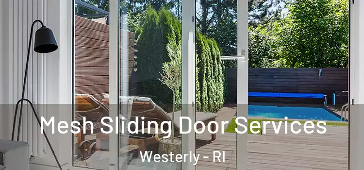  Mesh Sliding Door Services Westerly - RI